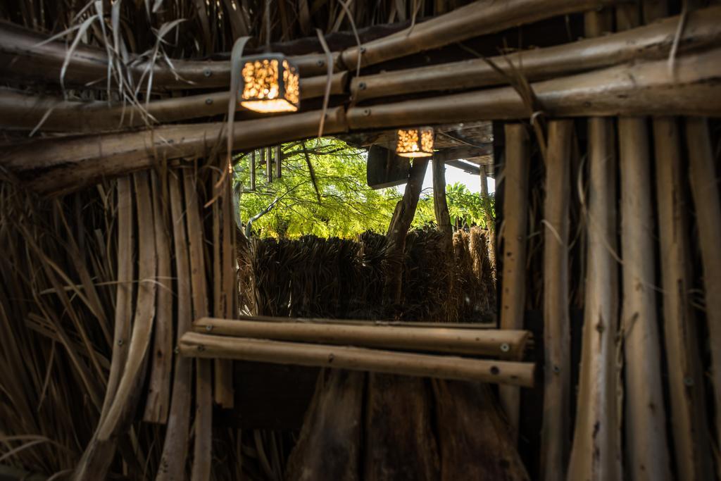 Shkedi'S Camplodge Neot HaKikar 외부 사진