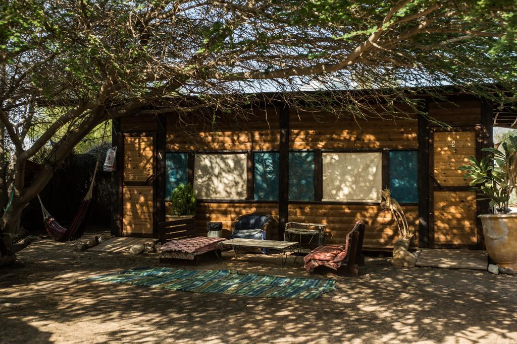 Shkedi'S Camplodge Neot HaKikar 객실 사진