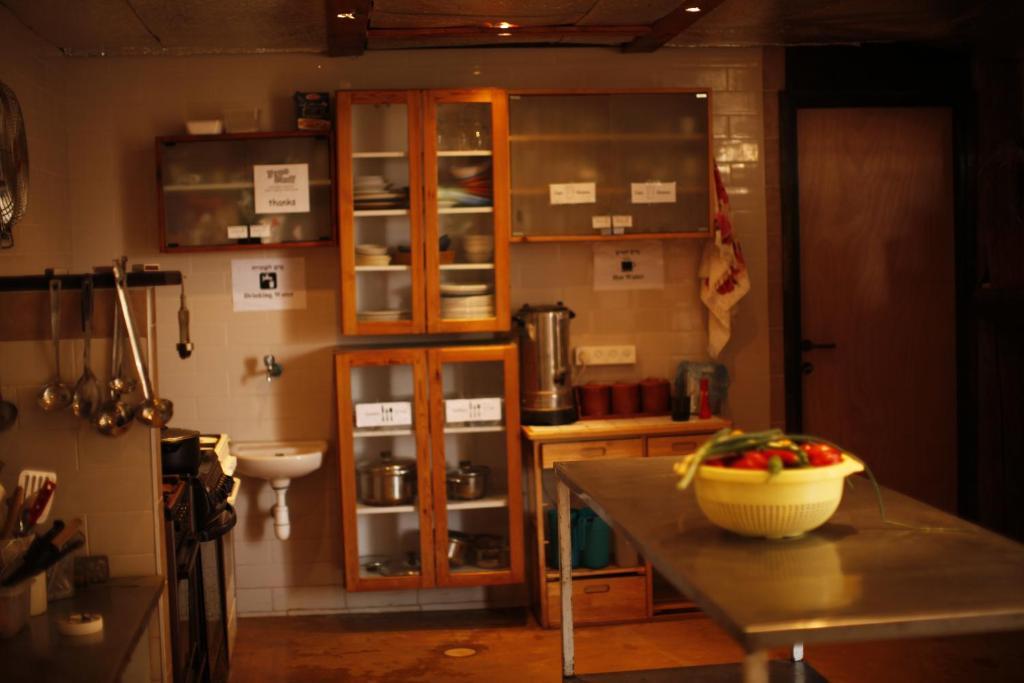 Shkedi'S Camplodge Neot HaKikar 외부 사진